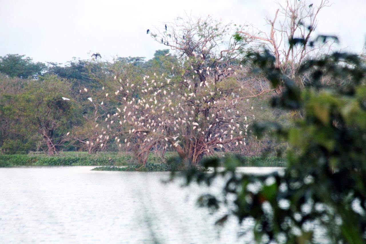 Sigiri Uyana Hotel Sigiriya