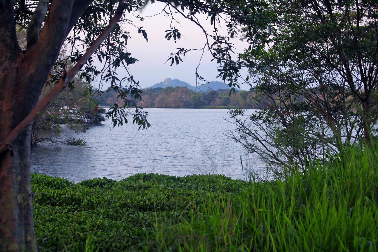 Hotel Sigiri Uyana