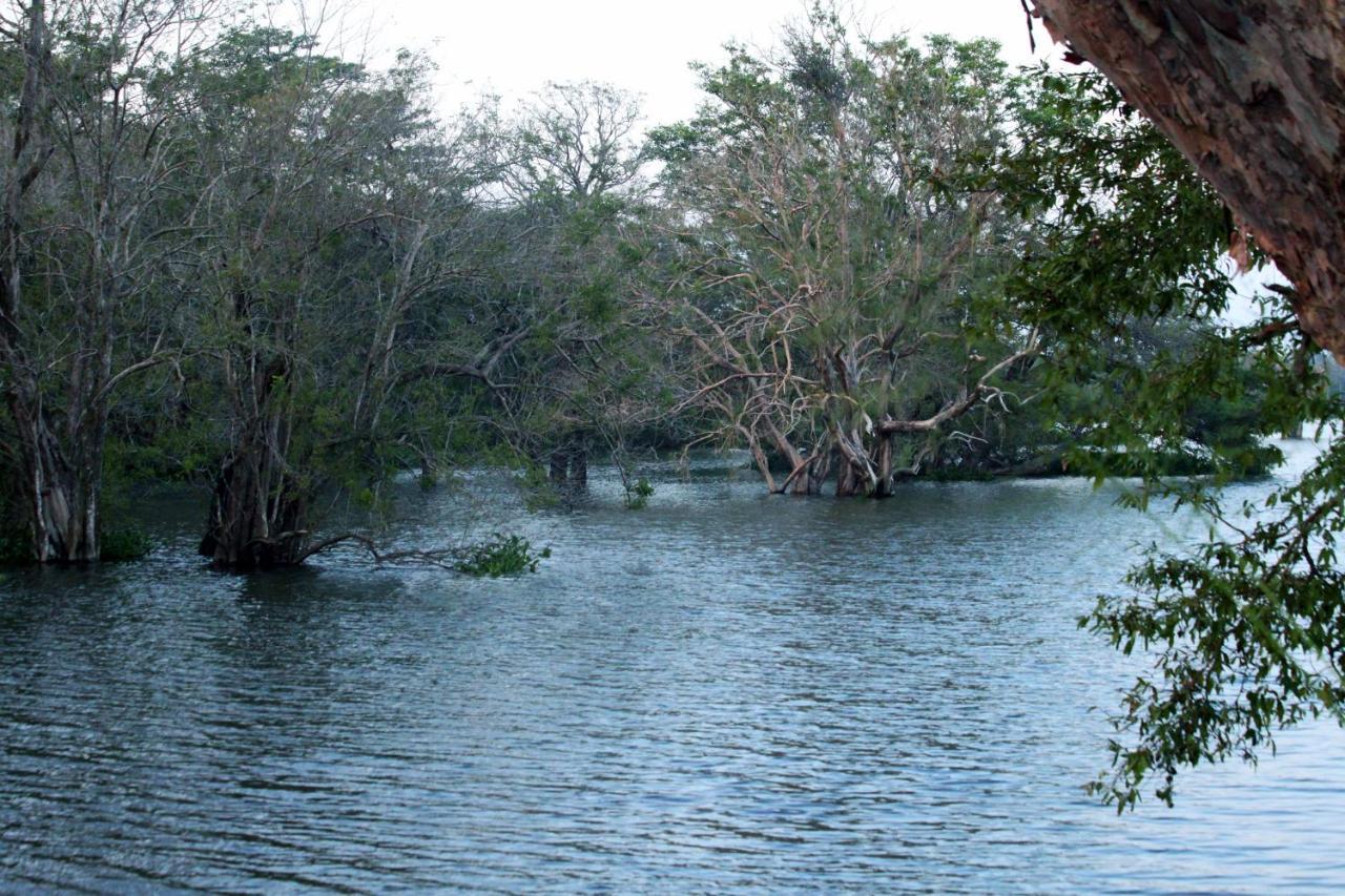 Hotel Sigiri Uyana Sigiriya
